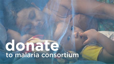 against malaria foundation fact check|malaria donation.
